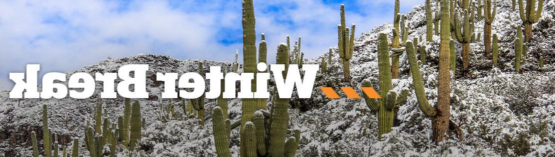 An Image of Saguaros with Snow; text overlay says, "Winter Break: College Closed Dec 1月24日 2"