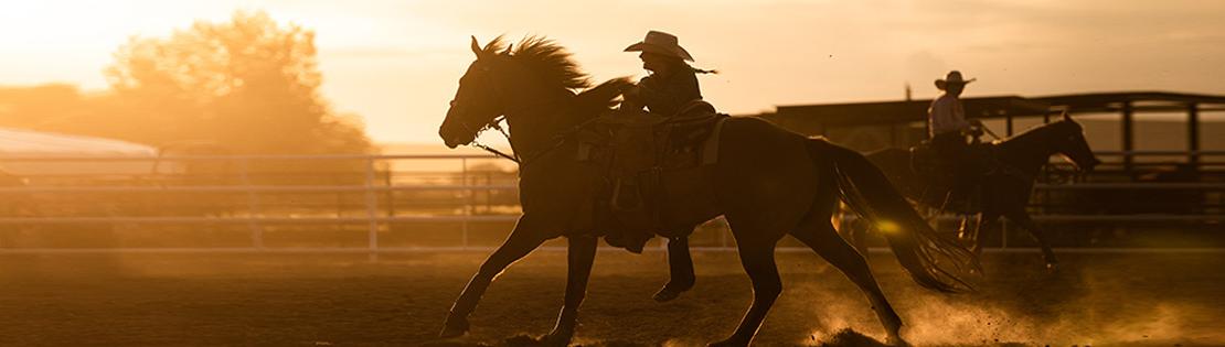 日落时分，牛仔在竞技场上骑马